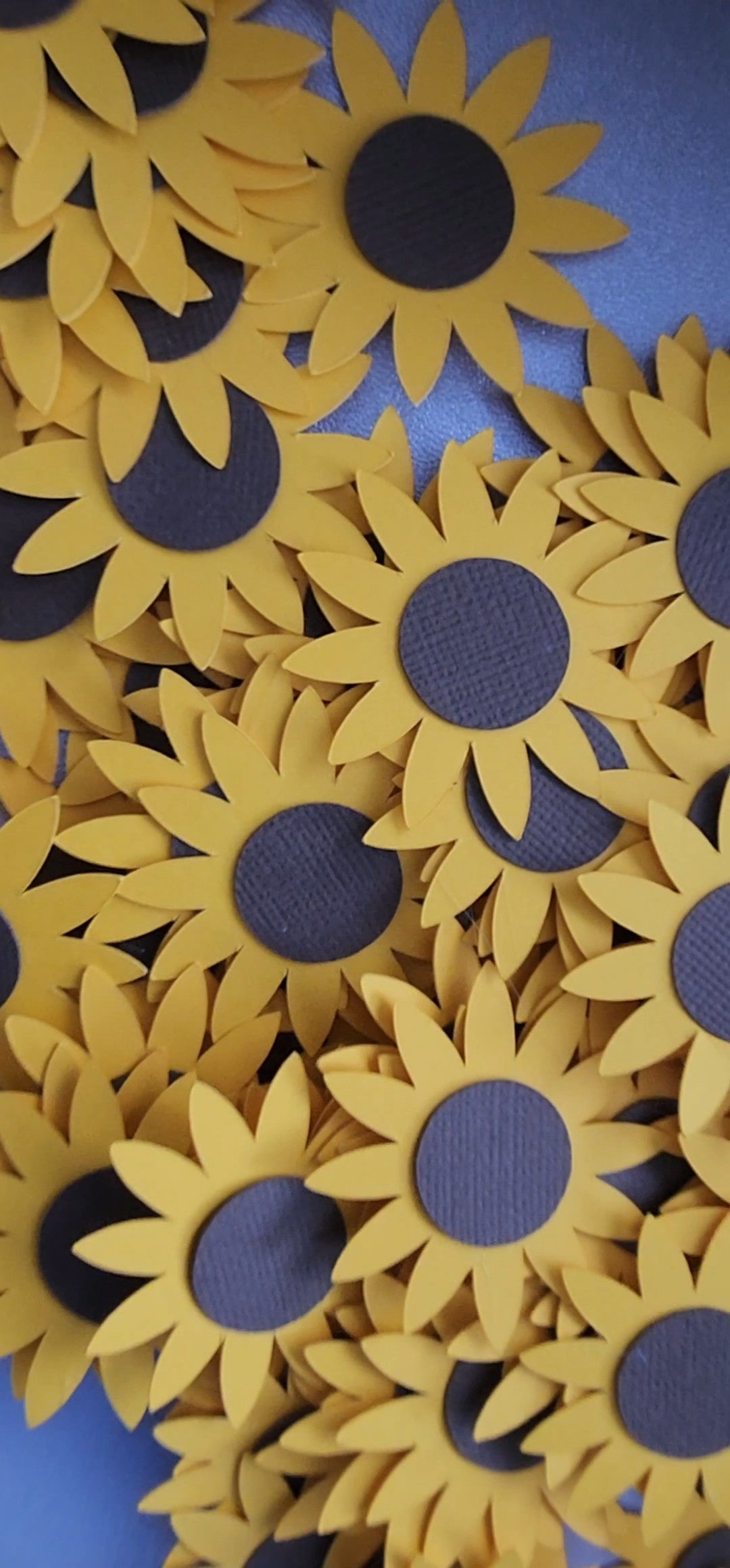 Personalised Seed Packet Party Favours