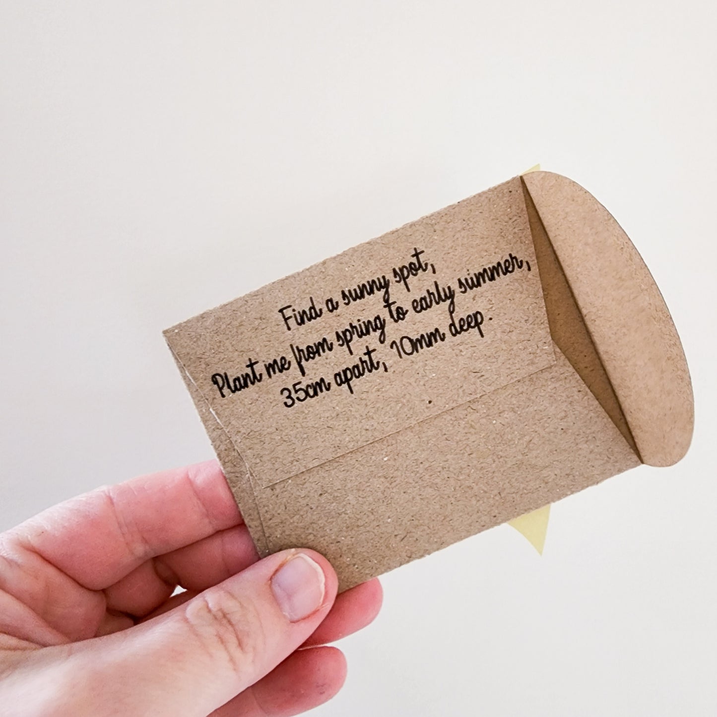 Personalised Seed Packet Party Favours